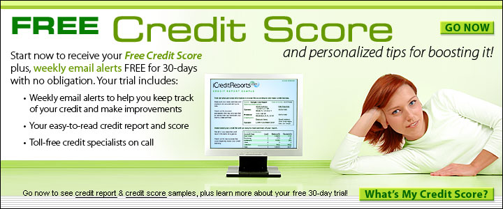 Credit Report Simulator Repair